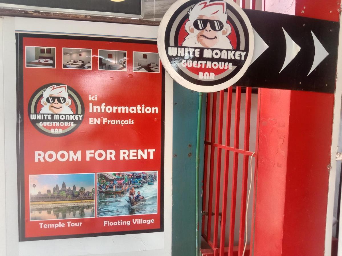 White Monkey Otel Siem Reap Dış mekan fotoğraf
